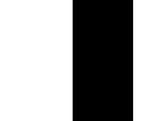 Pack BIGORRE + lavabo negro + espejo circular